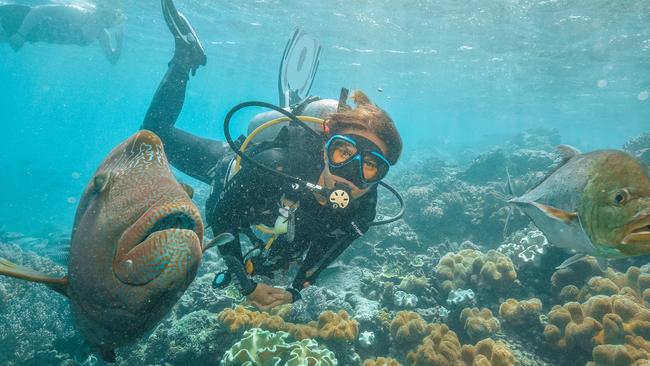 Queensland Tourism Industry Council chief executive Daniel Gschwind is excited about the potential of the Games to “define” Brisbane and the state. Pictured: Diving on the Great Barrier Reef.