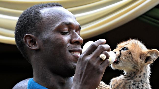 Bolt owns a pet cheetah named Lightning Bolt