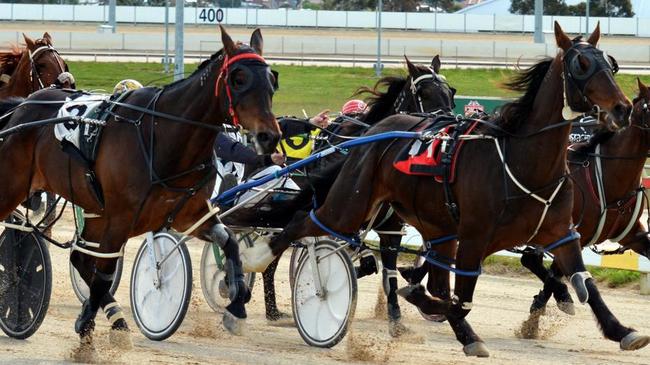 Harness racing in Tasmania. File picture.