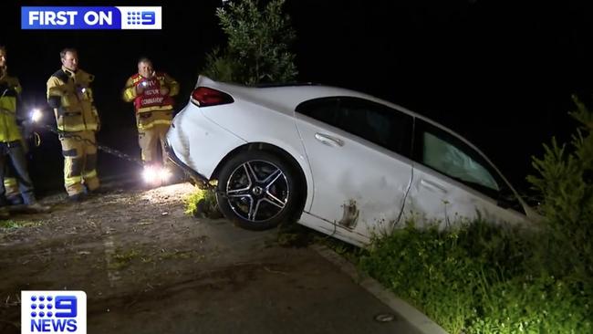 Prominent philanthropist and socialite Lady Primrose Potter was rescued from the Yarra River. Picture: Nine News