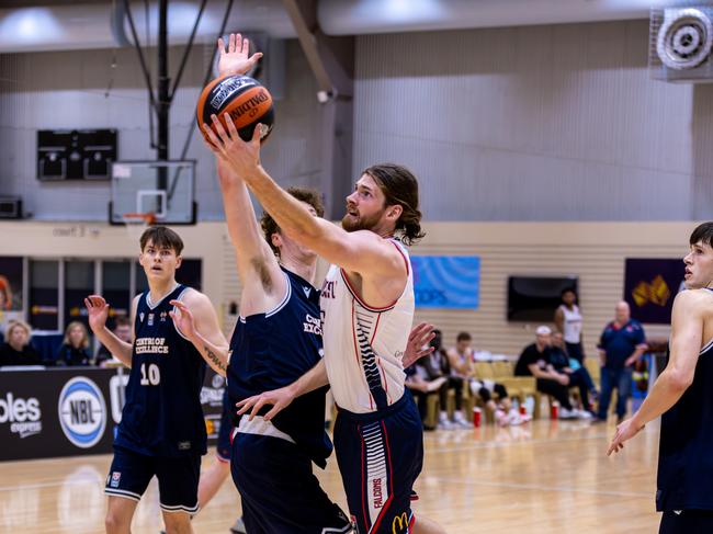 Ryan Beisty of the Newcastle Falcons in the NBL1 East competition. Picture: Greg Francis/@DiscoveryOne_Photography