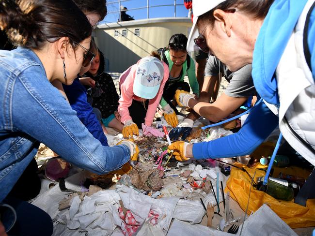 Litter collected by community and environmental groups on the sand at Bondi Beach as part of Plastic Free July.