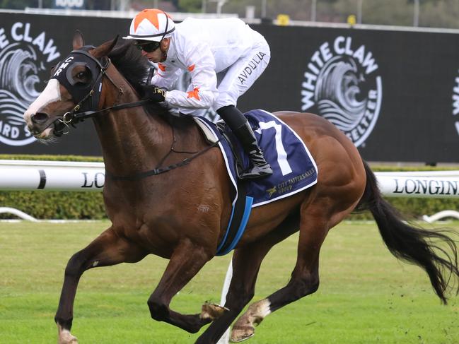 Cadre Du Noir can bring up the hat-trick in the Colin Stephen Quality at Rosehill on Saturday. Picture: Grant Guy