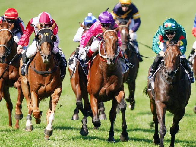 Alligator Blood (right) at full throttle in the Australian Guineas.