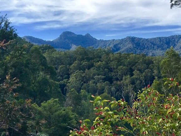 View from le maison to Mt Cougal