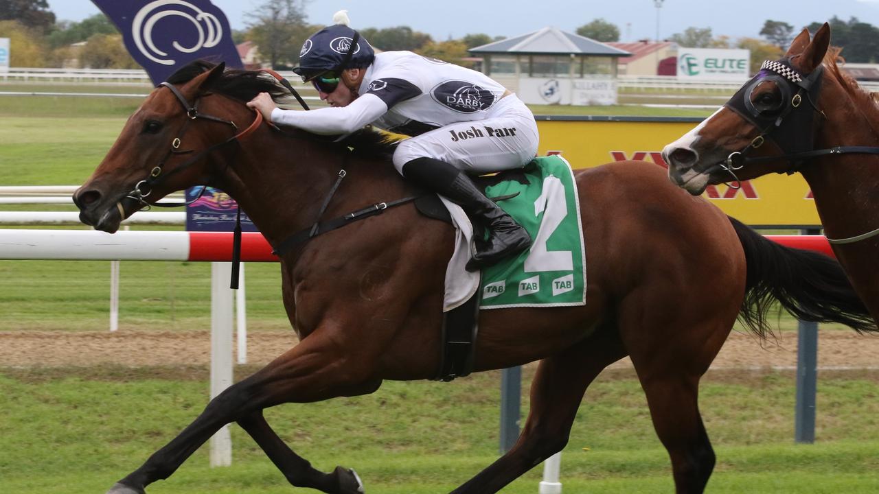 Malkovish resumed as a gelding to win the Hawklesbury Rush last weekend. Picture: Grant Guy