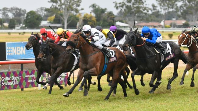 Signore Fox (white) winning last year’s Ramornie Handicap.