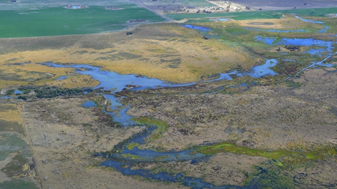 Channels declared as wetlands: Errors as NSW rushes water plan