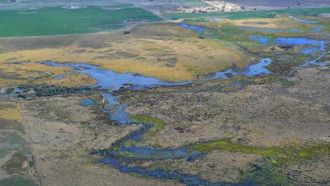 Proposed floodplain harvesting rules for the Namoi valley.