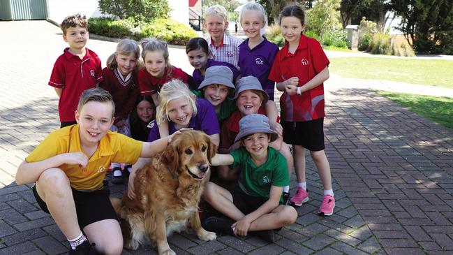 The school also has a ‘wellbeing dog’, called Misty, on staff. Picture: Supplied