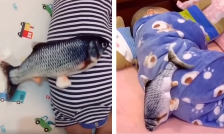 fish patting baby to sleep