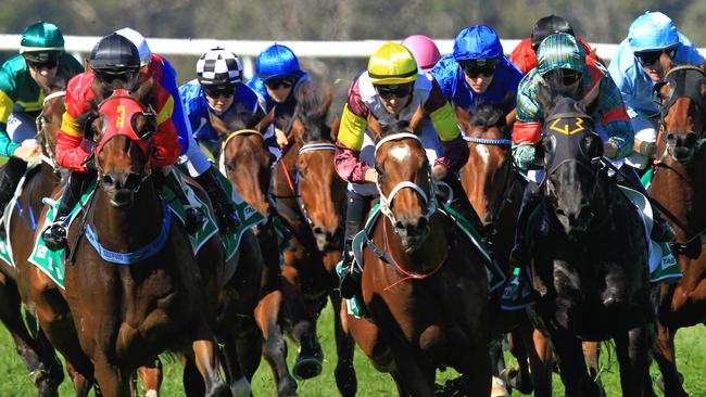 Racing in New South Wales on Friday is at Scone and Queanbeyan.