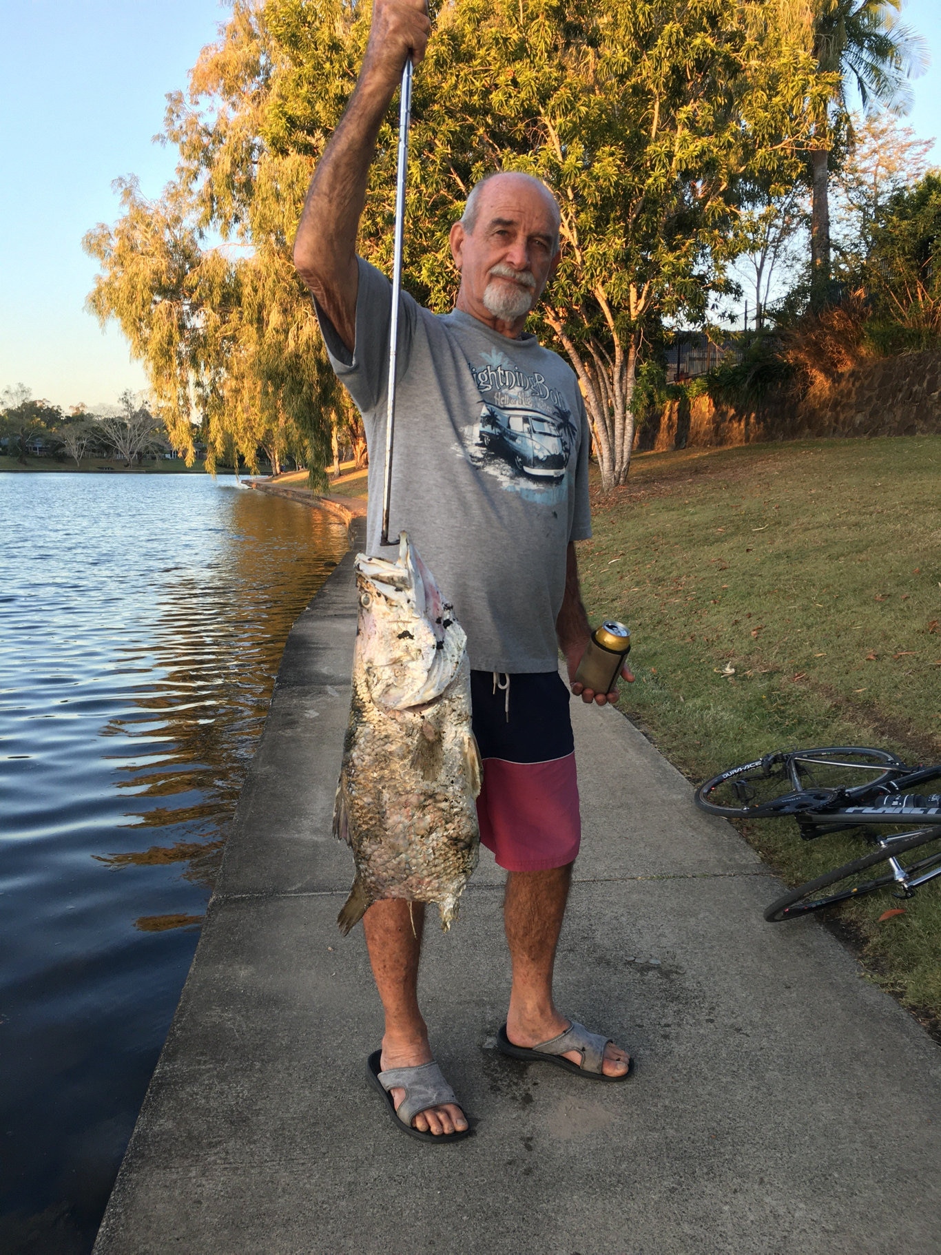 Sunshine Coast: Shark spotted in Mountain Creek creek, residents claim ...