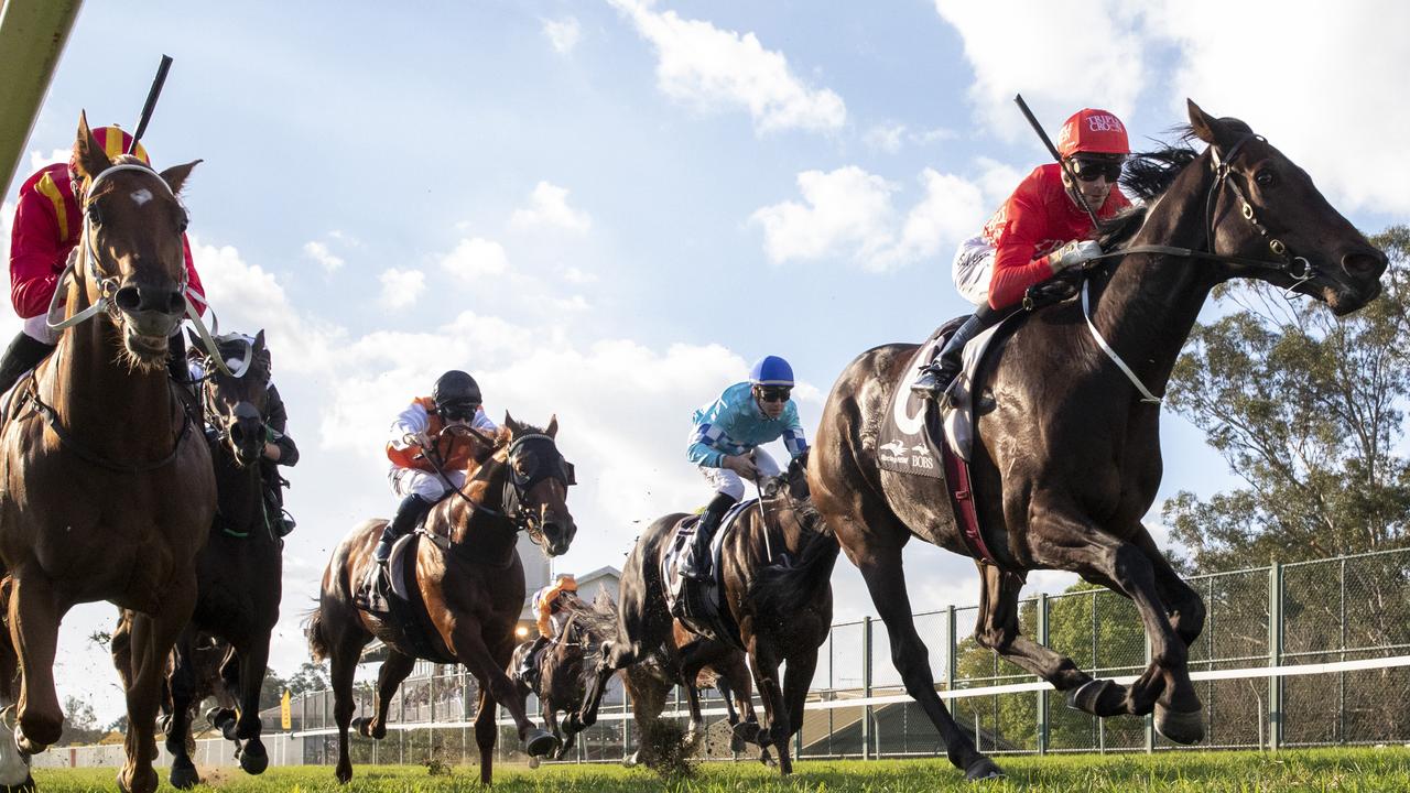 Hawkesbury Cup Race Day