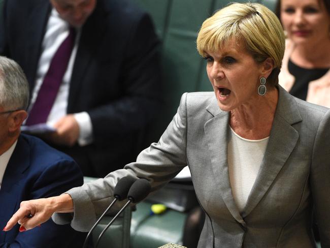 Foreign Affairs Minister Julie Bishop accused Wyatt Roy of being “irresponsible” and acting “in defiance of government advice”. Picture: AAP