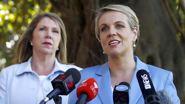 Deputy Leader of the Opposition Tanya Plibersek speaks during a press conference in Sydney, Sunday, April 29, 2018. Labor says it has come up with a new source of GST revenue that would allow the states to agree to cut the 10 per cent tax on female sanitary products.(AAP Image/Daniel Munoz) NO ARCHIVING