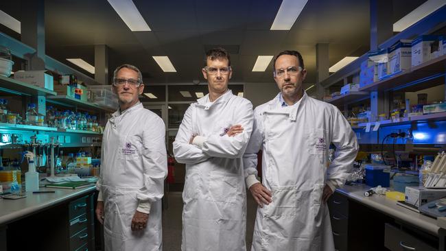 Some of the great minds working on the coronavirus vaccine at UQ, Professor Paul Young, Dr Keith Chappell and Professor Trent Munro. Picture: Glenn Hunt/The Australian