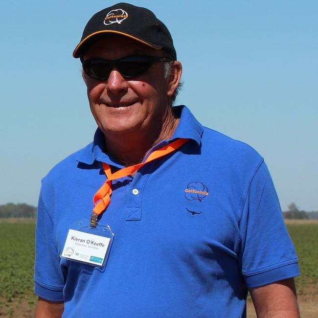 CottonInfo regional development officer for southern New South Wales Kieran O'Keeffe.