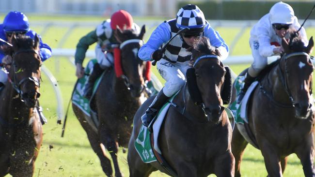Broken Arrows looks a good chance of breaking through. Picture: AAP Image