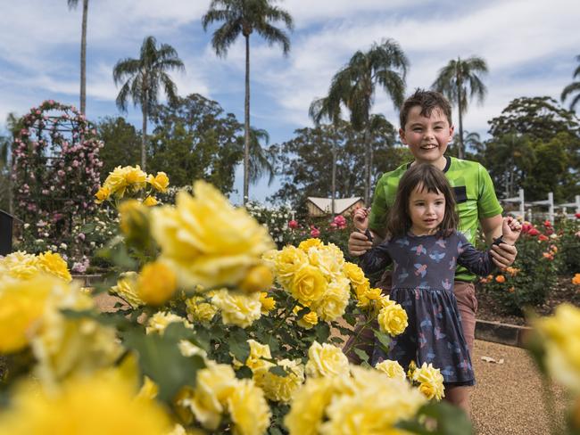 Newtown Park bursts into a cavalcade of colour and smell