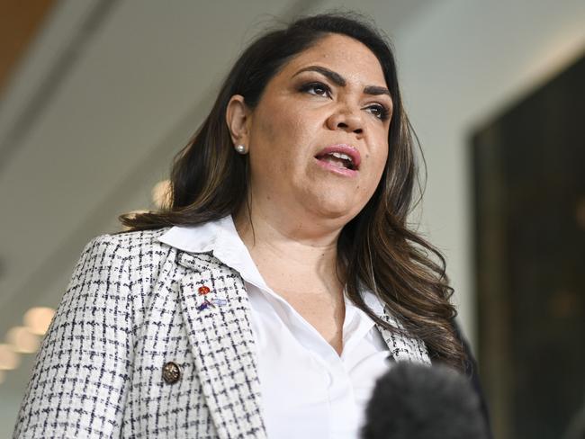 CANBERRA, AUSTRALIA  - NewsWire Photos - November 20, 2024: Senator Jonno Duniam, Senator Susan McDonald and Senator Jacinta Nampijinpa Price hold a press conference at Parliament House in Canberra. Picture: NewsWire / Martin Ollman