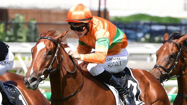 Shooting For Gold looks a good thing in race 2. Picture: Trackside Photography