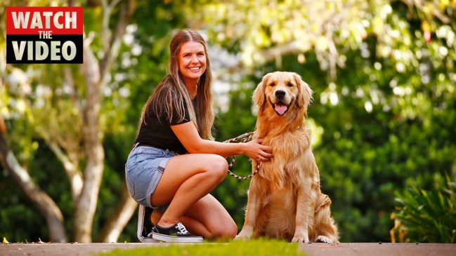 Insect-based pet food treats have only recently become widely available in Australia