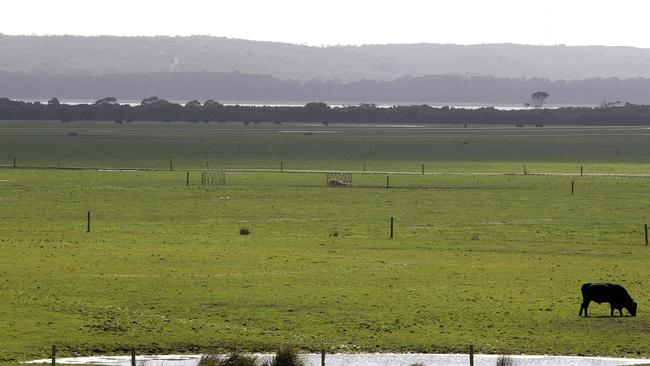 The proposed site of the Robbins Island wind farm development from Bevan Anderson's property at Montague. PICTURE CHRIS KIDD