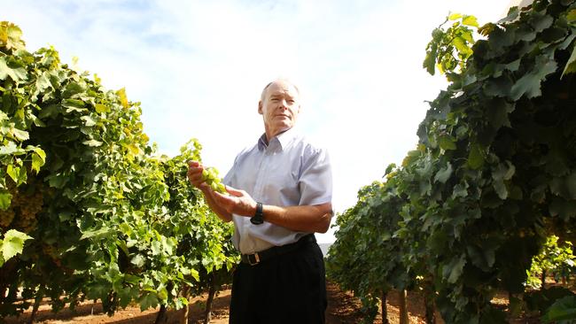 Australian Table Grape Association chief executive Jeff Scott has rejected comments that the industry relies on illegal harvest workers.