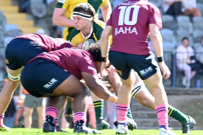 University v Wests, Colts Saturday June 8, 2024. Picture, John Gass