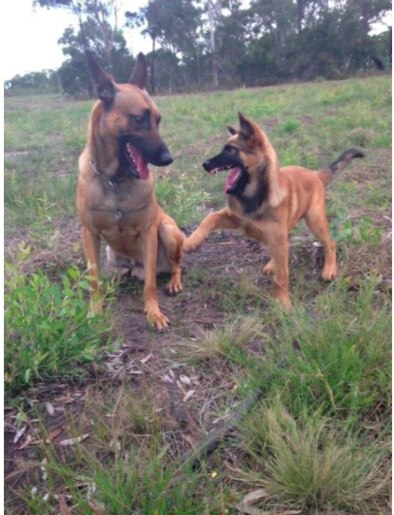 Arkie and his pal having a laugh.