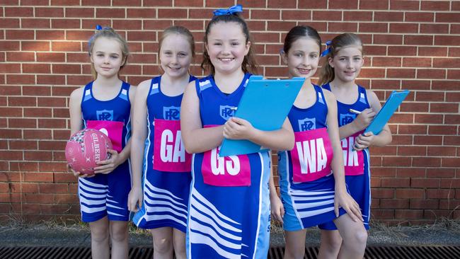 Prahran netball players Nellie, Clover, Willow, Imogen and Beatrix created a new petition in support of stadium build. Picture: Andy Brownbill