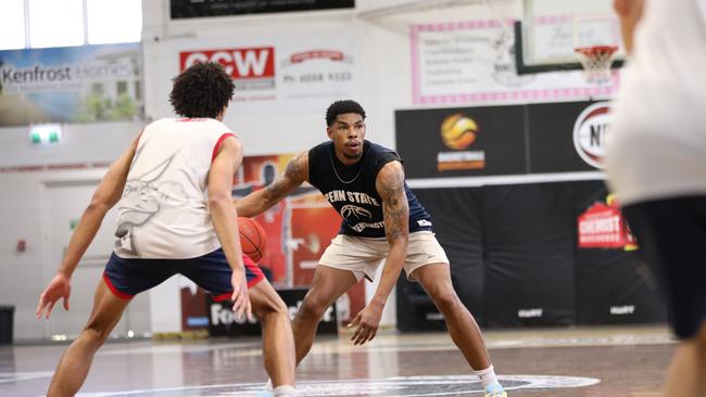 Pictured: Casey Cavaliers forward Dillon Stith at the Taipans "open gym" day at Cairns Basketball. Contributed by Taipans Media.