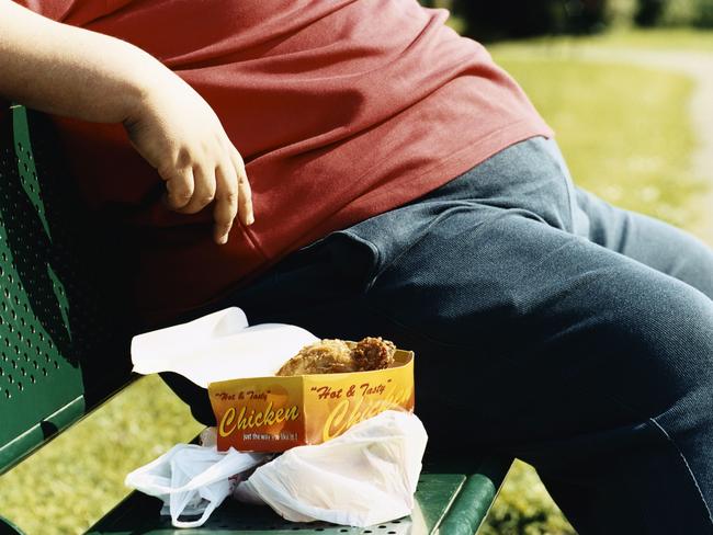 Data shows obesity comes after people are exposed to junk food Picture: Thinkstock