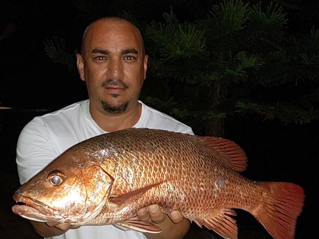 Addict Tackle co-owner Rodney Kahil with a mangrove jack. Mr Kahil said fisho could expect to hook a mangrove jack in Tweed River as the water's temperature rises.