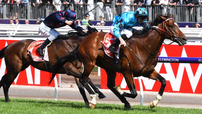 Extra Brut beat Stars of Carrum in the Victoria Derby at Flemington in November last year. Picture: Getty