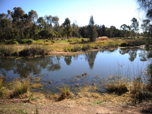 Generic File Photos of Woodcroft Lake. native/nature/reserve/park/wetlands/suburban/wildlife/preserve