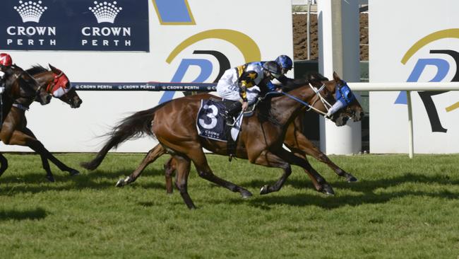 The tight finish of the 2013 Winterbottom Stakes, with Buffering (inside) and Moment of Change. Picture: Theo Fakos