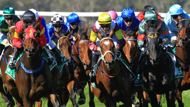 Racing in New South Wales on Wednesday is at Grafton.