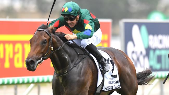 Alligator Blood’s victory in the Magic Millions Guineas is under a cloud after he returned an irregularity to a banned substance. Picture: AAP