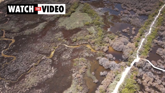 Drone footage reveals St Kilda mangrove dieback