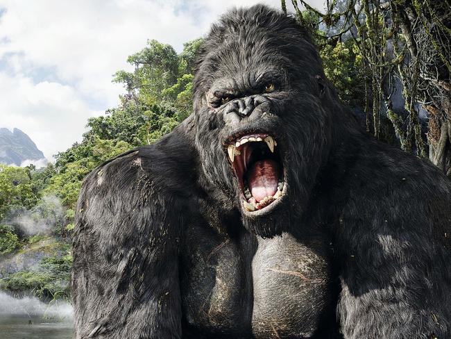 time out movie king kong Picture: SUPPLIED