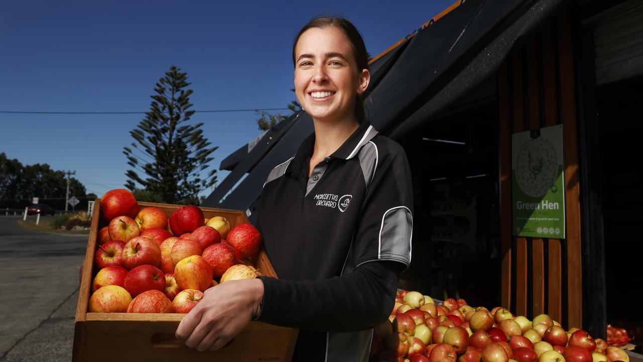 Shelbee Murray staff member with new season royal gala apples at Merediths Orchard shop in Margate. Picture: Nikki Davis-Jones