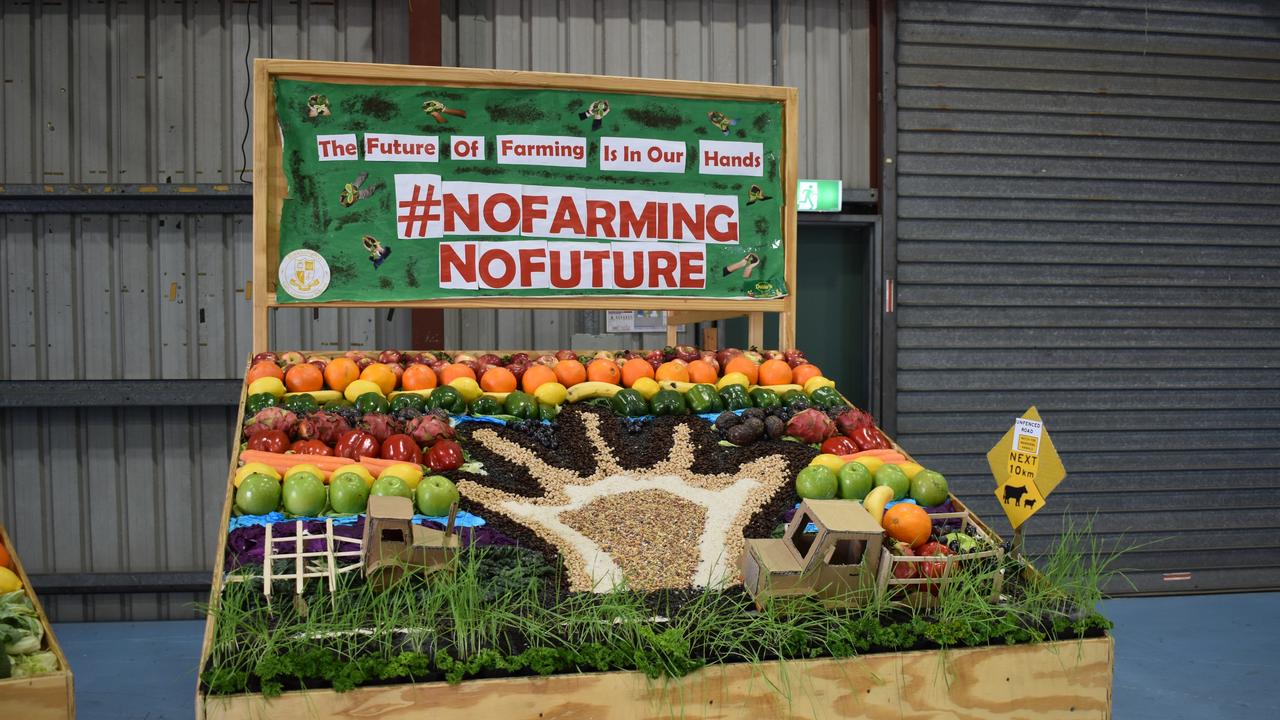 There was plenty to see at the Rockhampton Agricultural Show from woodchopping to vegetable displays and prized cakes.