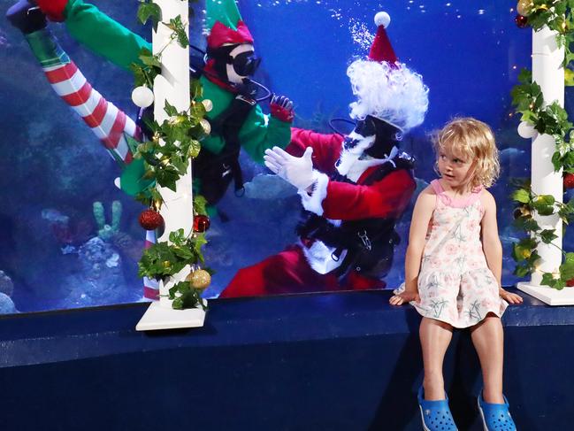 Santa Claus and his naughty elf be be making appearances at the Cairns Aquarium every day at 11:45am between now and Christmas. Poppy Thomas, 3, of Whitfield was delighted to see Santa and his naughty elf Jenny Cheetham in the Coral Sea Oceanarium on Friday. Picture: Brendan Radke