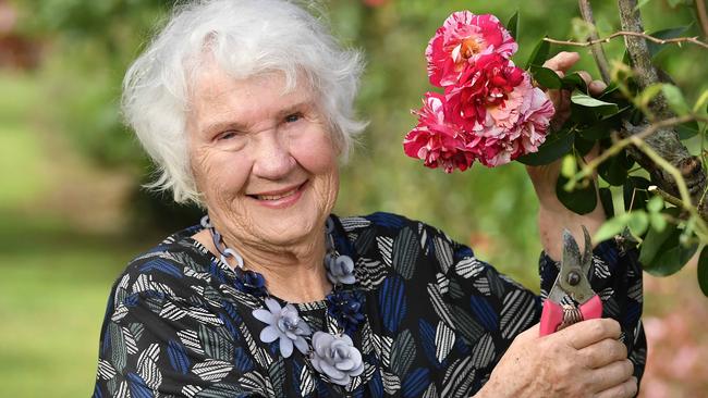 Laurel Sommerfeld with her Maurice Utrillo roses at Sommerfeld LG Rosemere Farm. Picture: Patrick Woods.