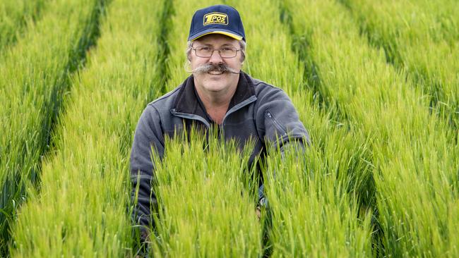 Gooroc grain grower Neale Postlewaite says while his crops are tracking OK, rain is needed over the next week. Picture: Zoe Phillips