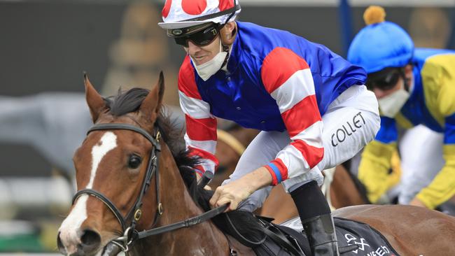 Jason Collett has a number of strong rides at Rosehill on Wednesday. Picture: Getty Images