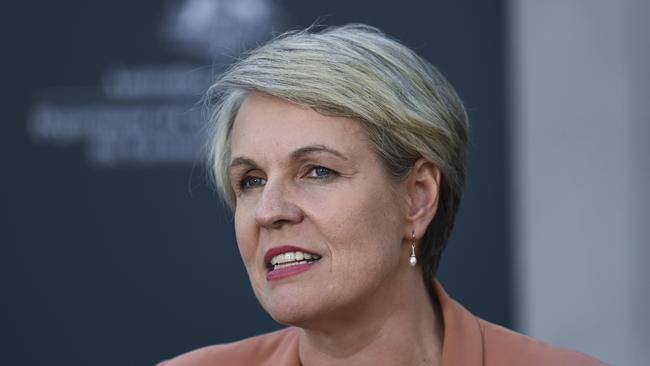 Minister for the Environment and Water, Tanya Plibersek. Picture: NCA NewsWire / Martin Ollman