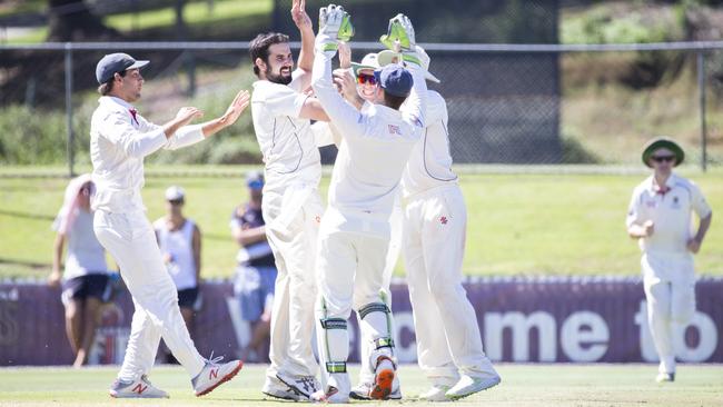 Happy days for Scott Walter who celebrates a wicket earlier in the year. AAP Image/Renae Droop)